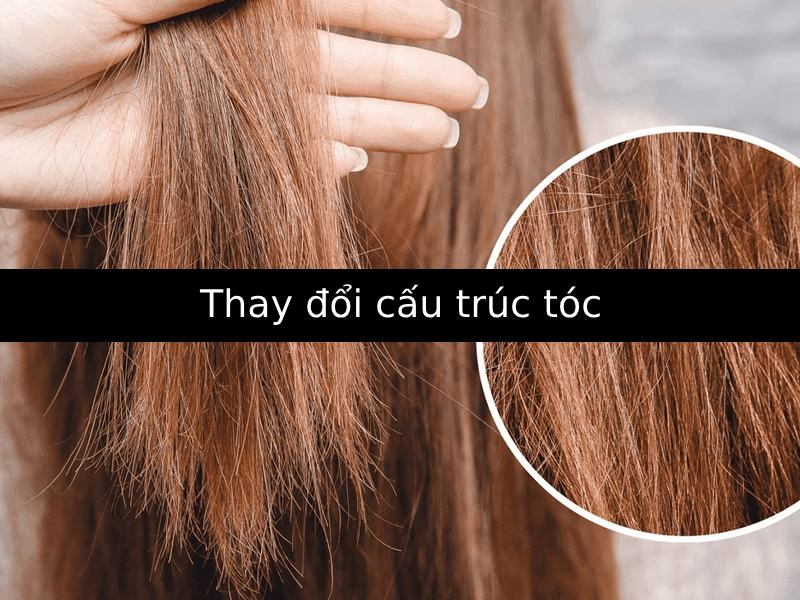 Thay đổi cấu trúc tóc